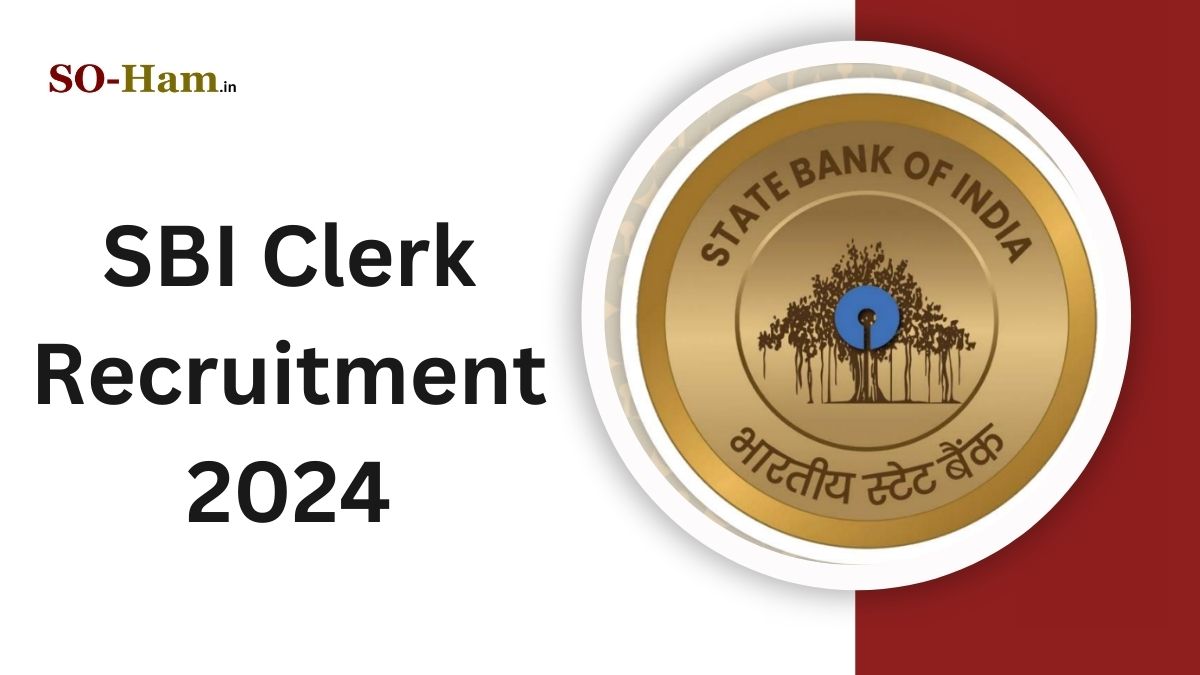 SBI Clerk Recruitment 2024: 50 Vacancies, Eligibility, and Application Details