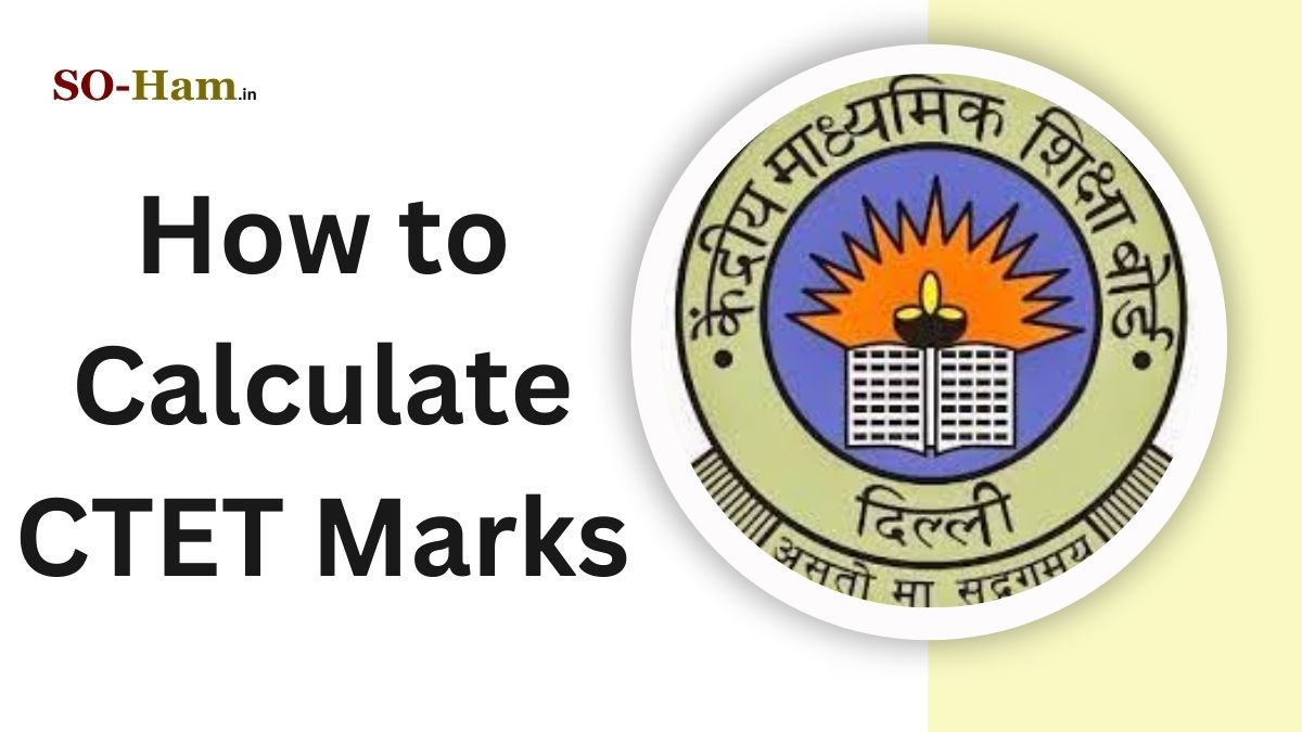 How to Calculate CTET Marks 2024: Step-by-Step Guide