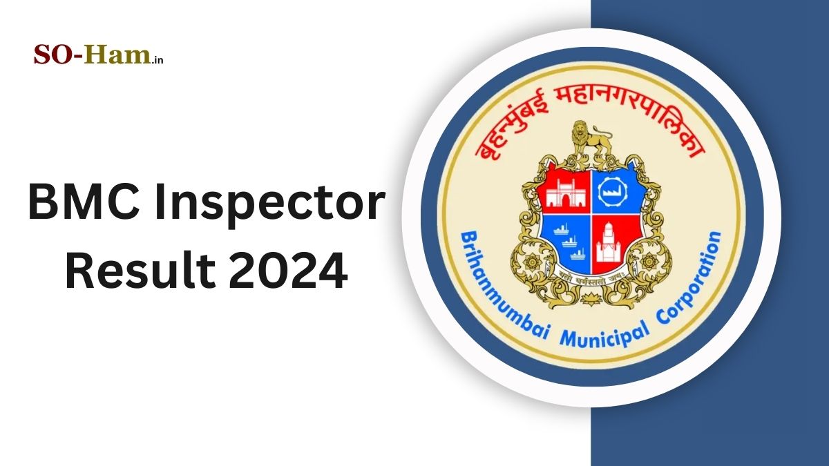 BMC Inspector Result