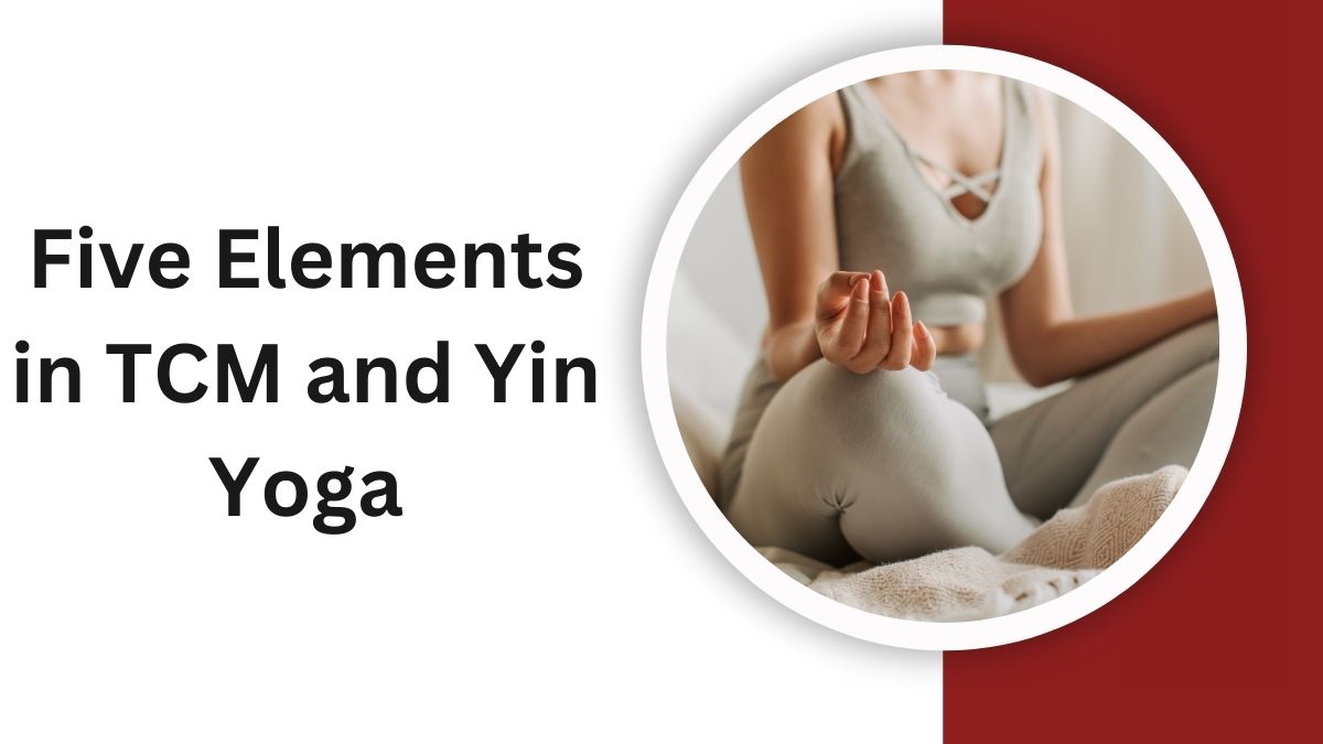 Five Elements in TCM and Yin Yoga: Exploring the Water Element